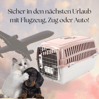 Transportbox IATA Hunde Katzen Gr. M