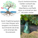 4x Baum Bewässerungssack mit Düsen und Wasserschlauch