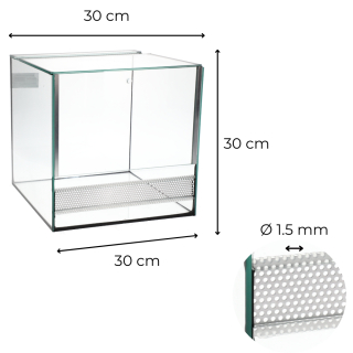 Glas Terrarium 30x30x30 cm