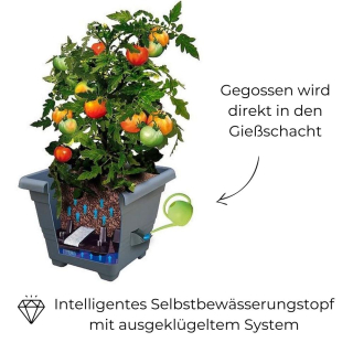 Pflanzkübel Bergamot mit Bewässerungssystem