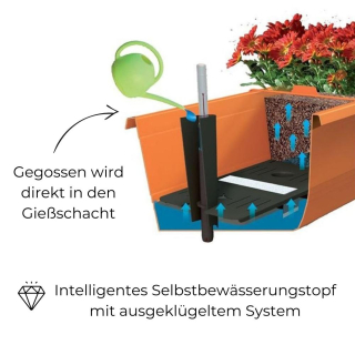 Blumenkasten Bergamot mit Bewässerungssystem