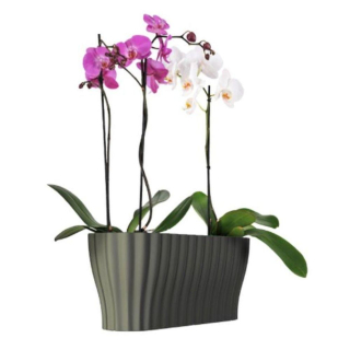 Orchideentopf TRIOLA anthrazit