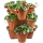 Blumentopf 3 Ebenen mit Pflanzenroller terracotta